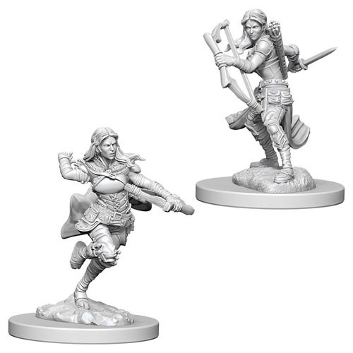 Mini Nolzur's Marvelous: W4 Female Air Genasi Rogue - Wizkids