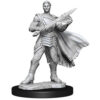 Mini MTG Unpainted Minis: W3 Rowan & Will Kenrith - Wizkids - Imagen 3