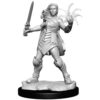 Mini MTG Unpainted Minis: W3 Rowan & Will Kenrith - Wizkids - Imagen 2