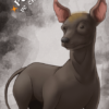 Pishtaco - Imagen 5