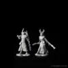 Mini Nolzur's Marvelous: Human Druid - Wizkids - Imagen 3