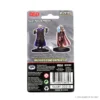 Mini Nolzur's Marvelous: Human Ranger & Moon Elf Sorcerer - Wizkids - Imagen 2